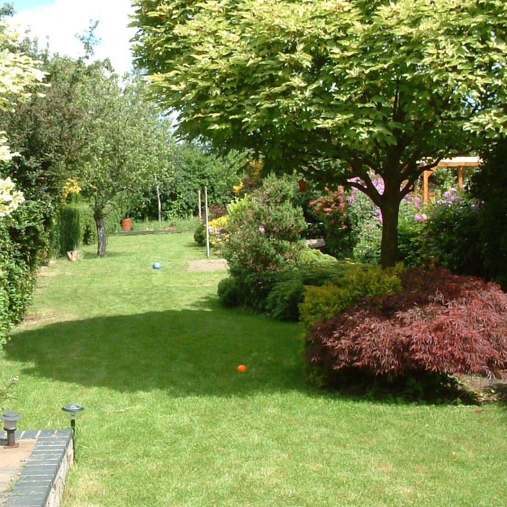 Summer garden tree looked after by Carpenters tree
