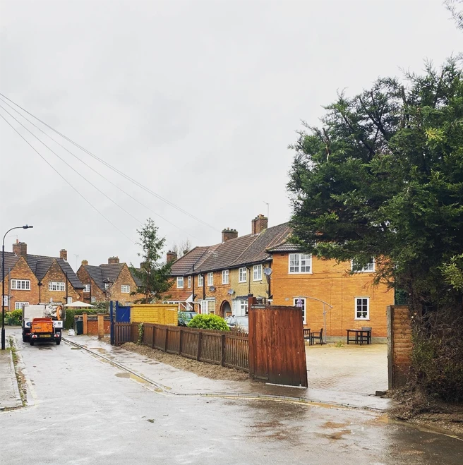 Expert Local Tree Removal Services Shepherds Bush - Carpenters Tree Care London