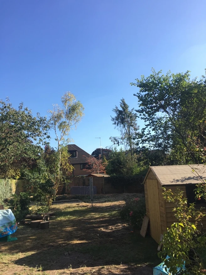Garden Clearance Epsom - Carpenters Tree Care