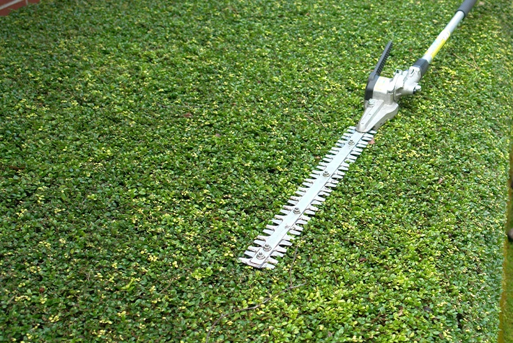 Hedge Trimming London