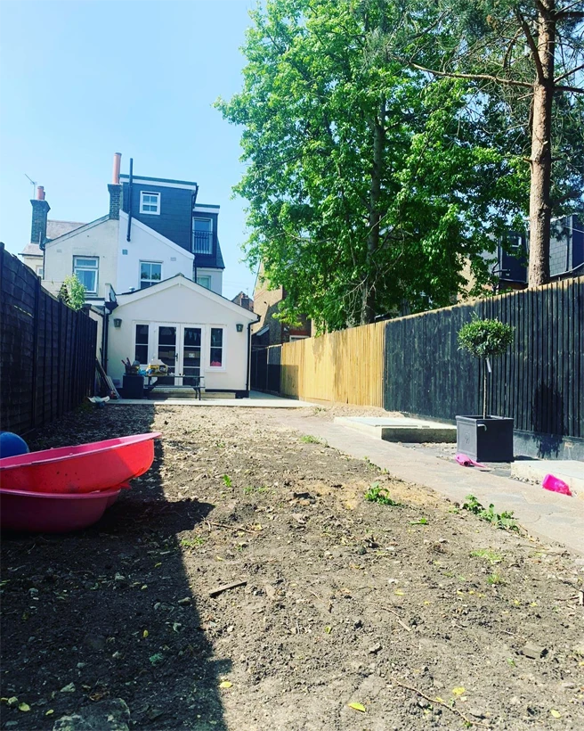 Professional Tree Removal Services In Your Area - Carpenters Tree Care London