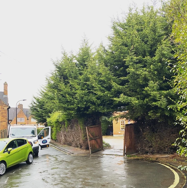 Quality Local Tree Removal Services Shepherds Bush - Carpenters Tree Care London