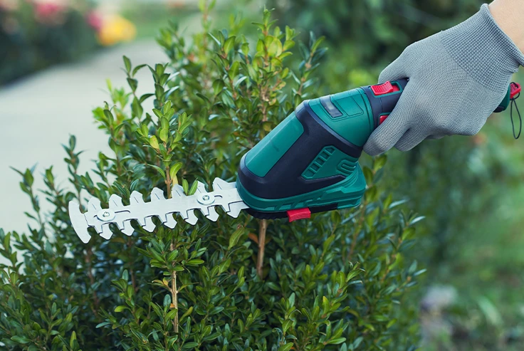 Shrubbery Trimming London