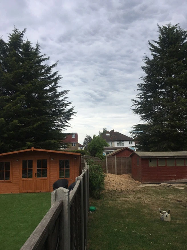 Tree Felling Services Worcester Park 1D - Carpenters Tree Care